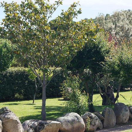 Les Jardins De Santa Giulia - Charmante Chambre D'Hote 2 Porto-Vecchio  Eksteriør billede