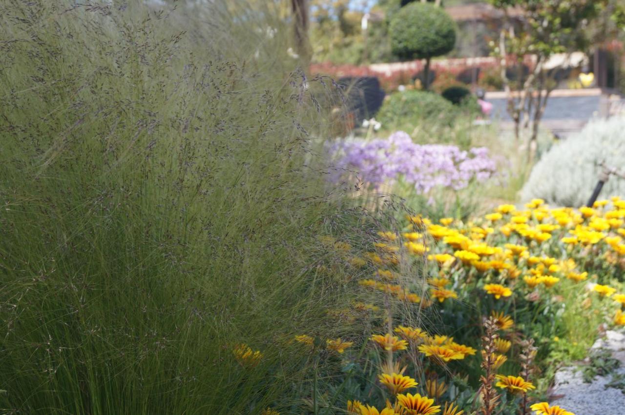 Les Jardins De Santa Giulia - Charmante Chambre D'Hote 2 Porto-Vecchio  Eksteriør billede